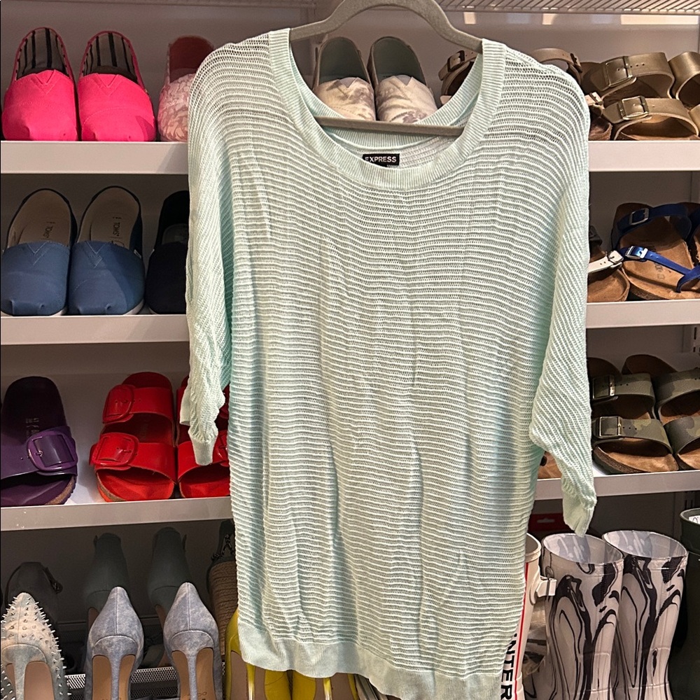 Express Mint Green Knit Sweater